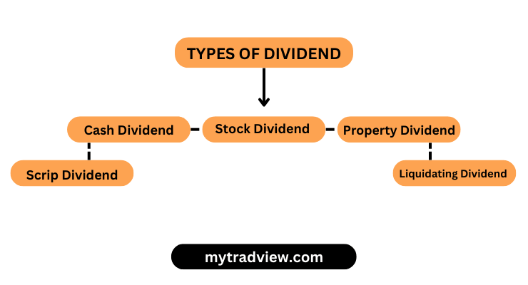 types of dividend in stock market