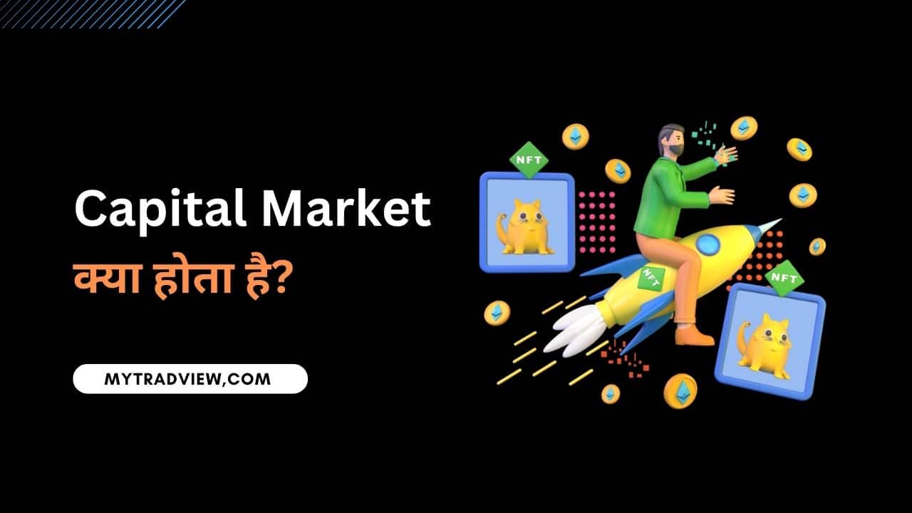 capital market in hindi
