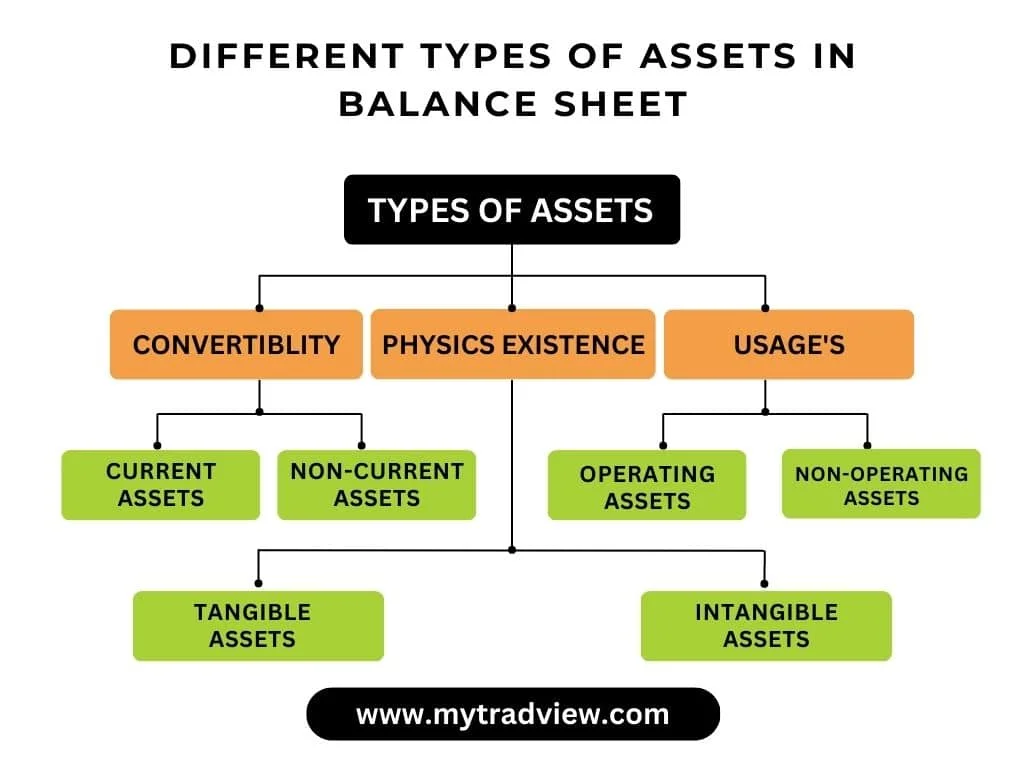 the-tree-infographic-of-types-of-assets